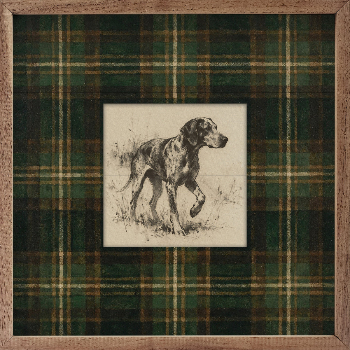 Vintage Standing Coonhound Tartan Study Print Wood Framed Print