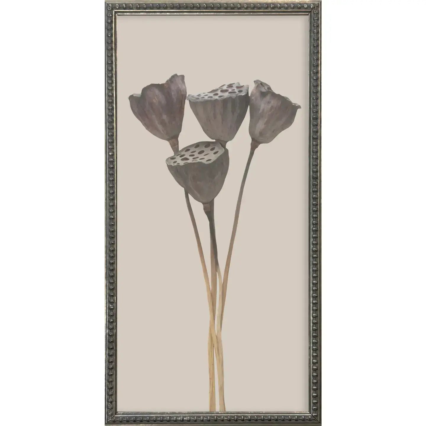 Botanicals Silver Bead Gallery Frame Art Set