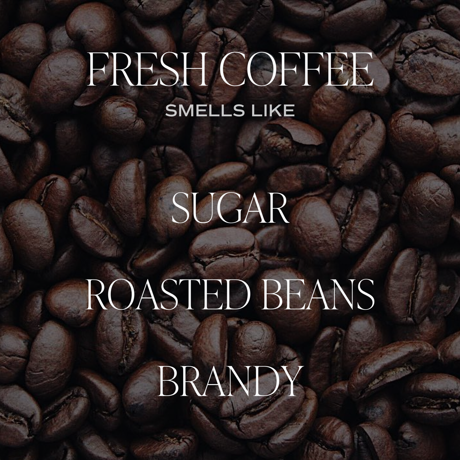 Fresh Coffee White Jar Candle