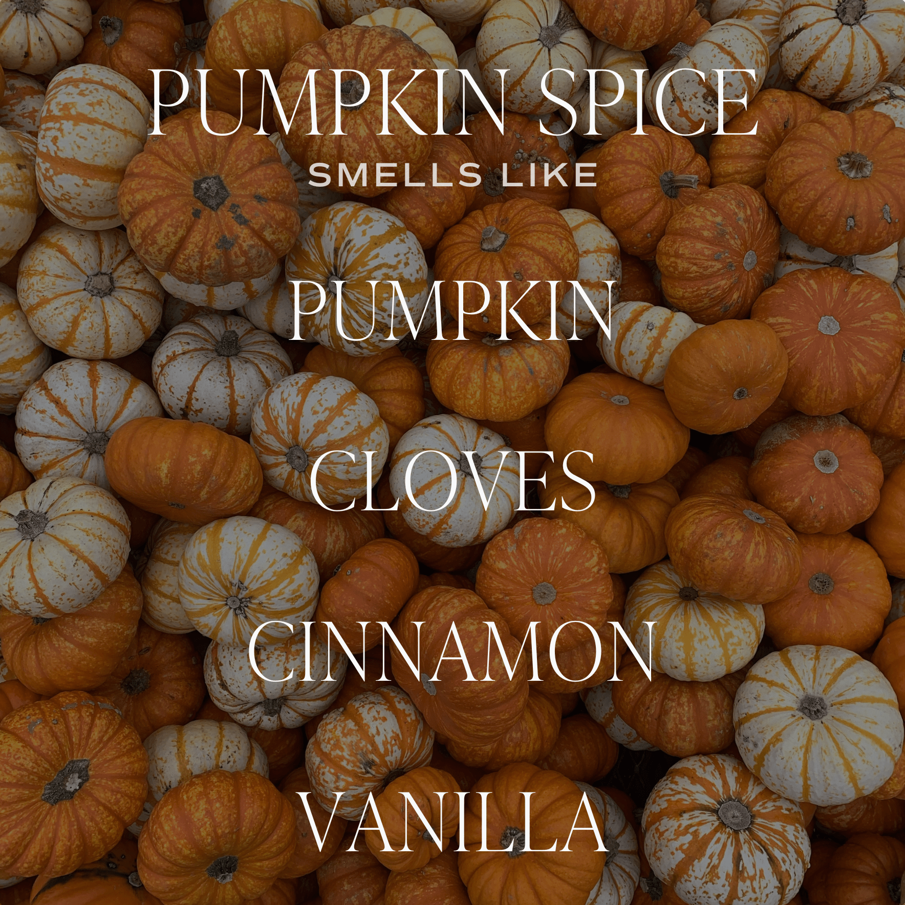 Pumpkin Spice Patterned Jar Candle