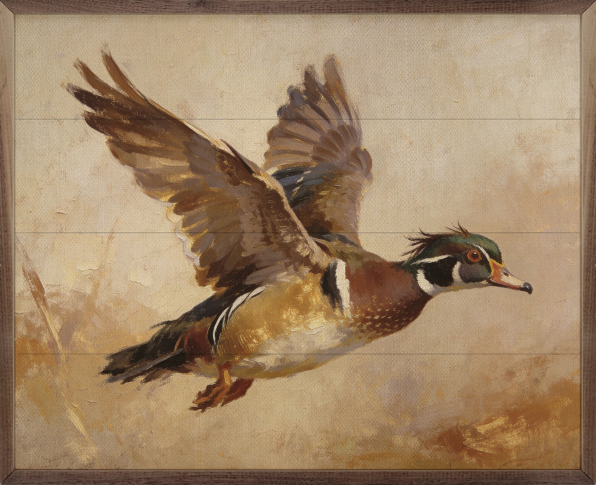 Wood Duck In Flight Autumn Light Wood Framed Print