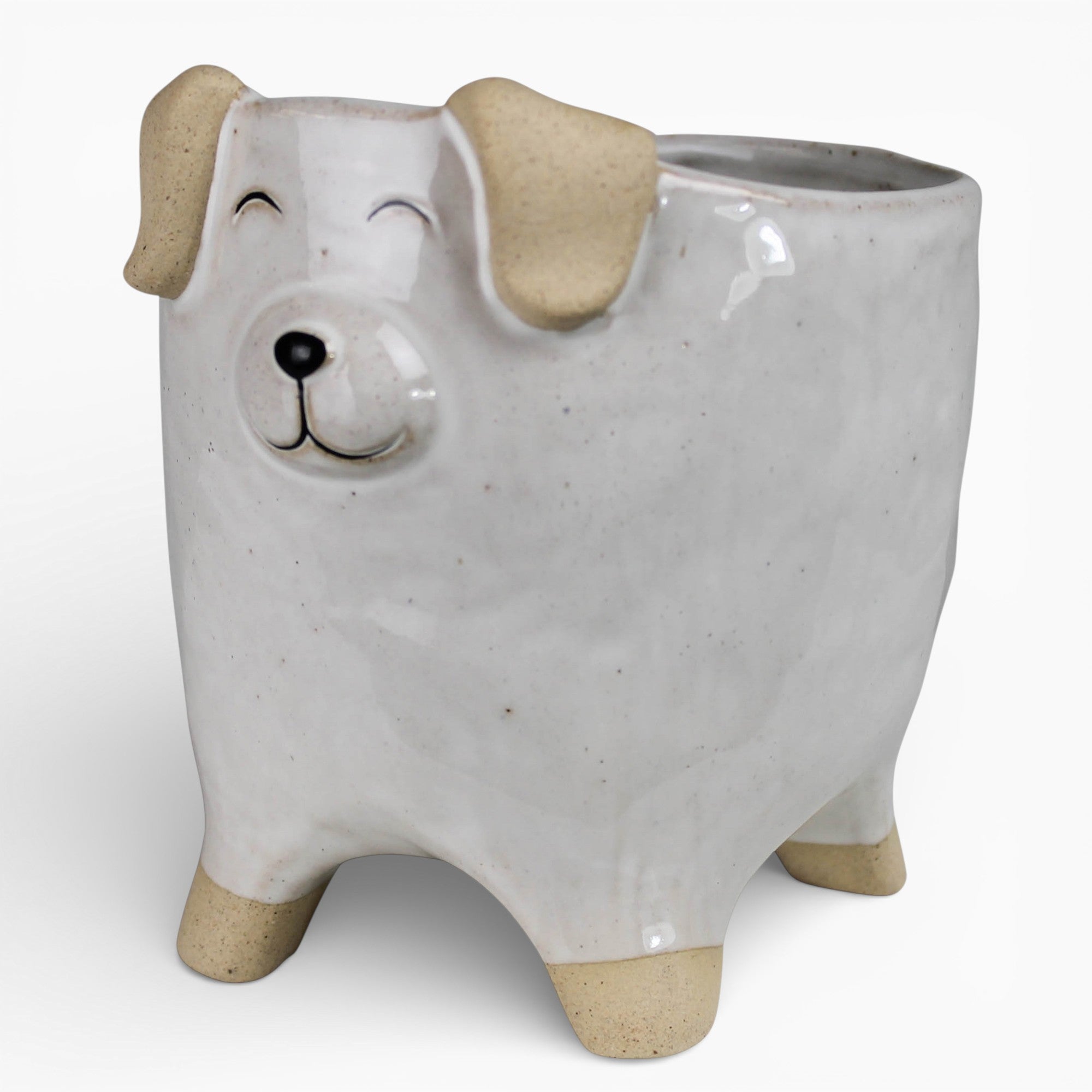 Ceramic Pet Cachepot