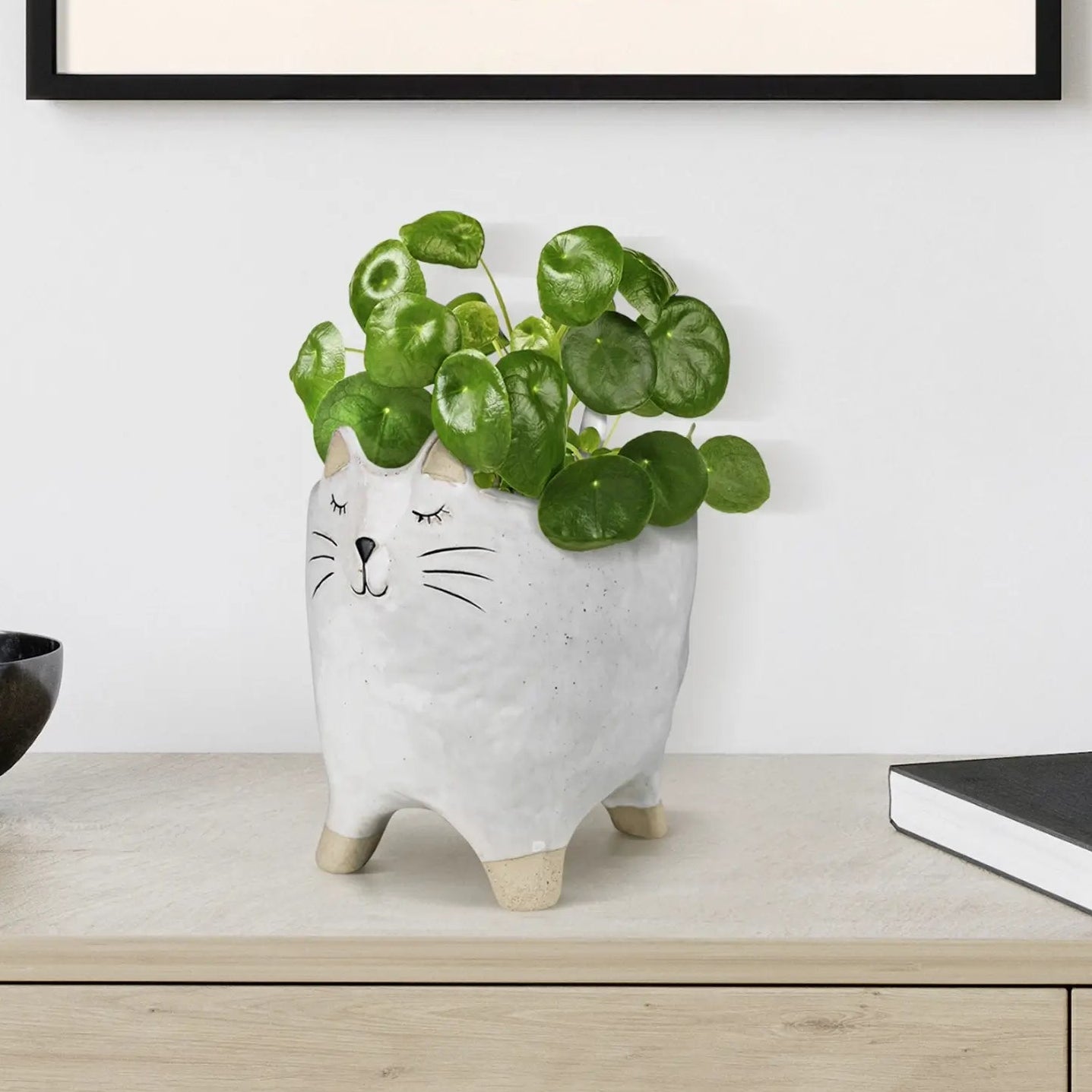 Ceramic Pet Cachepot