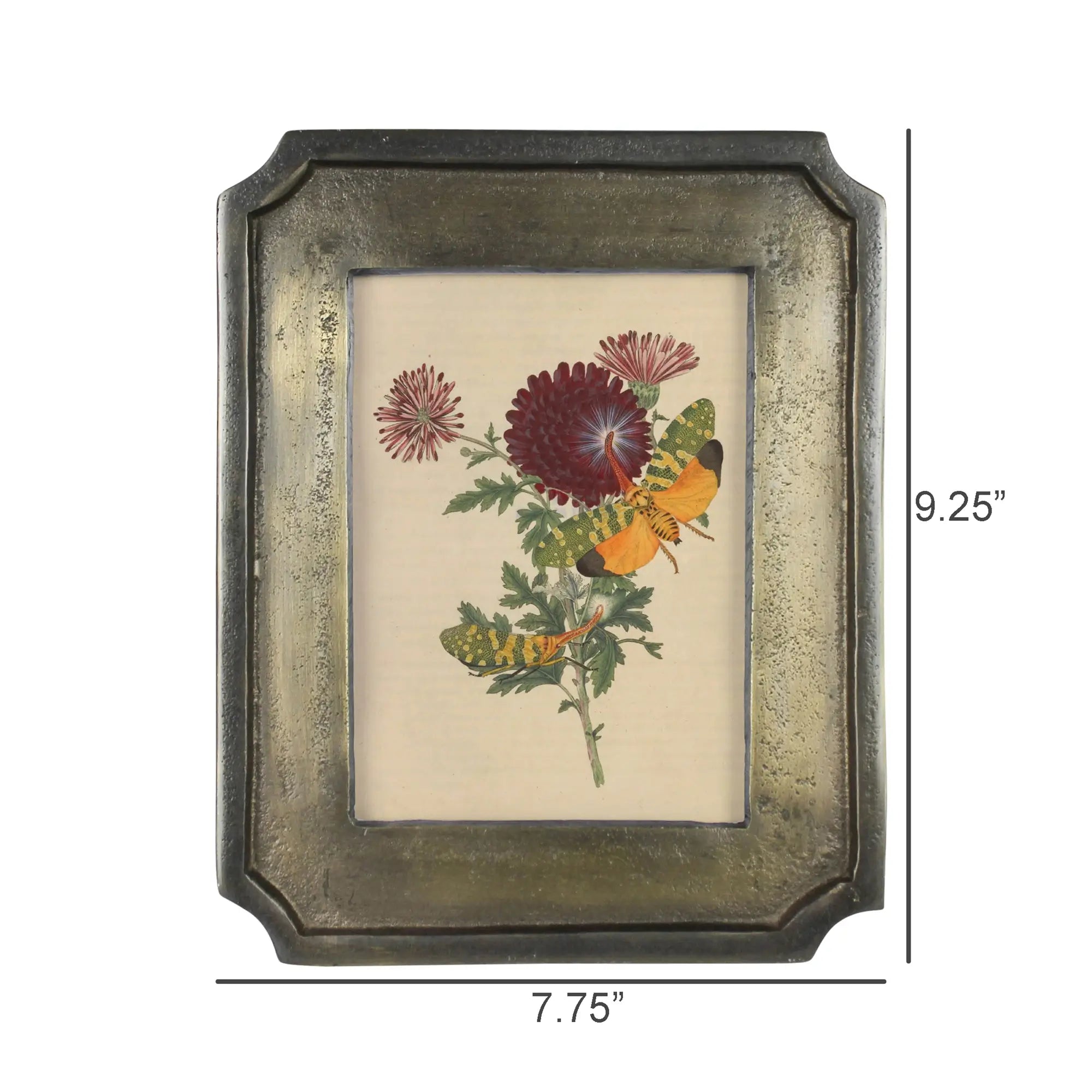 Brass Plated Beveled Frame