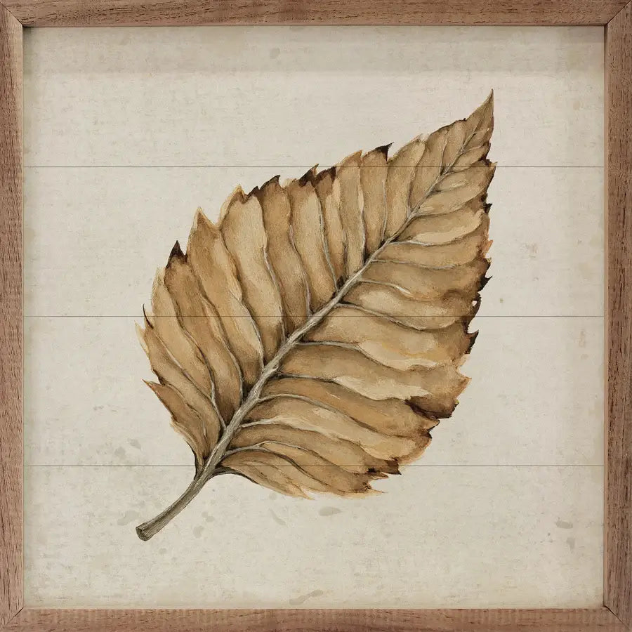 Beech Leaf Wood Framed Print