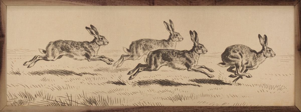 Victorian Rabbit Ink Study Wood Framed Print