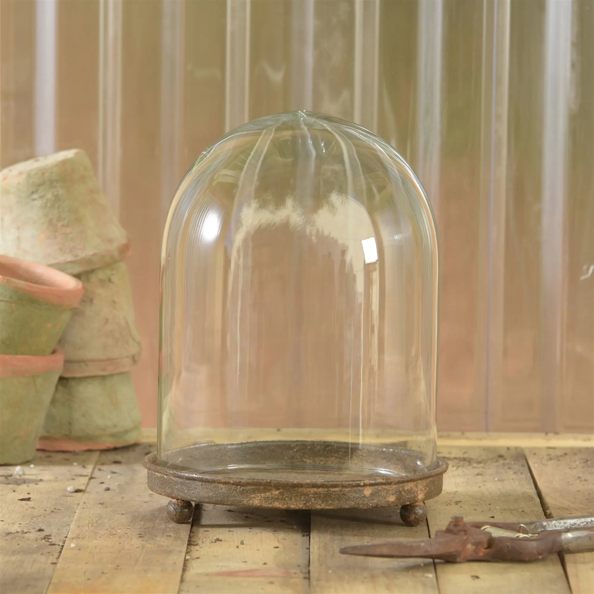 Glass & Metal Mirabelle Vitrine Cloche