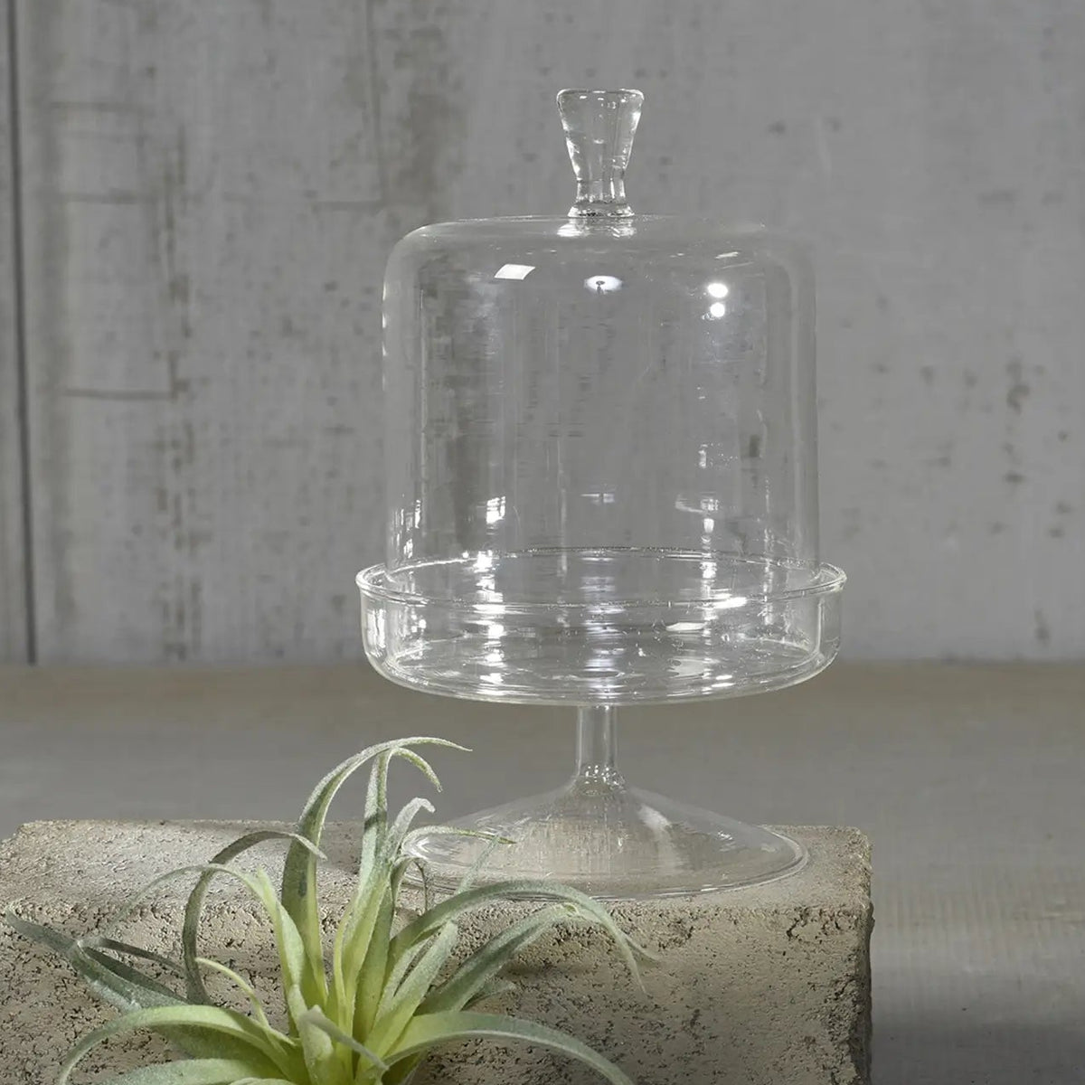 Vera Glass Dome & Pedestal