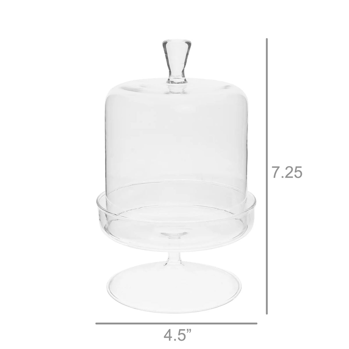 Vera Glass Dome & Pedestal