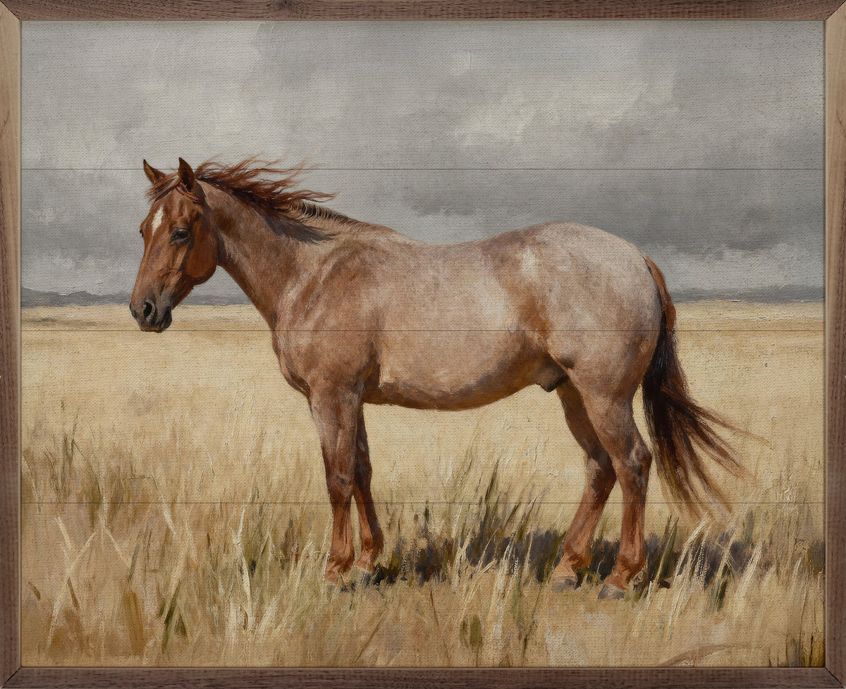 Red Roan In Field Wood Framed Print