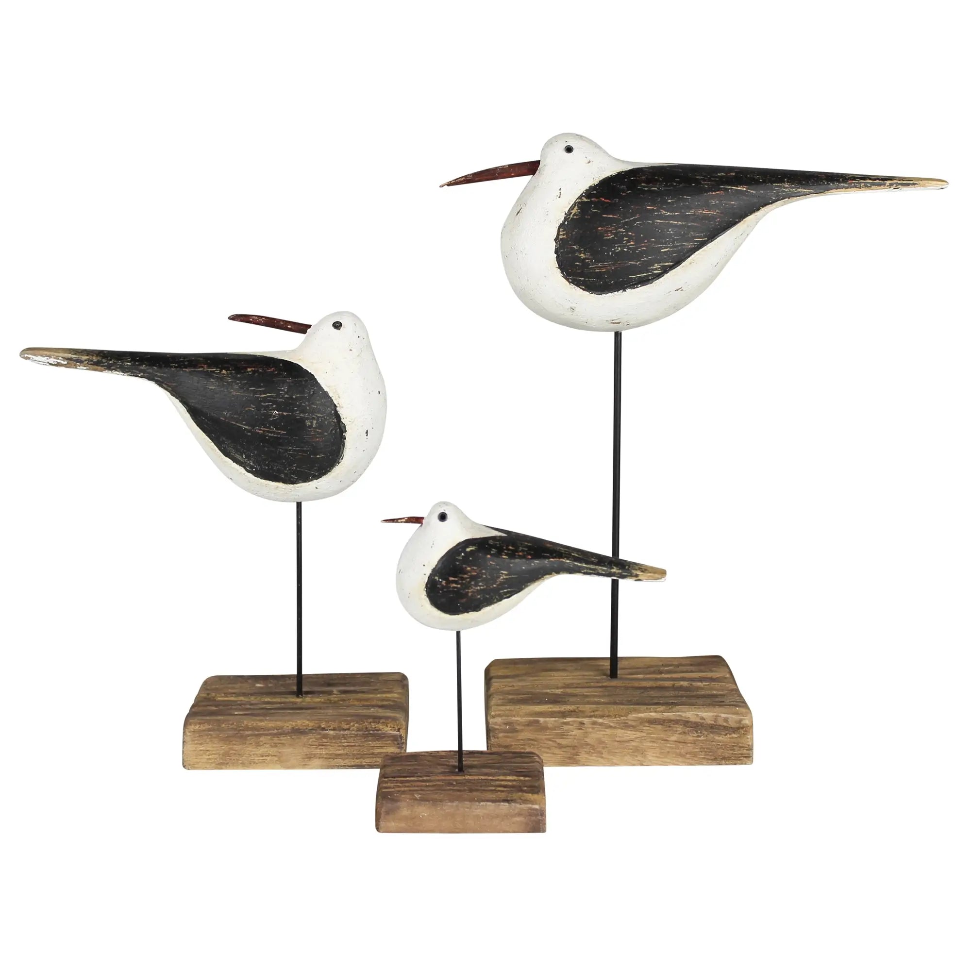 Wood Sandpiper Set