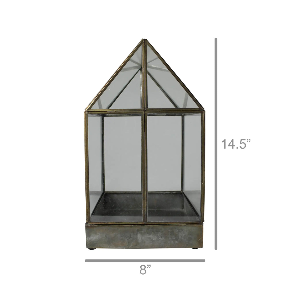 Pike Terrarium