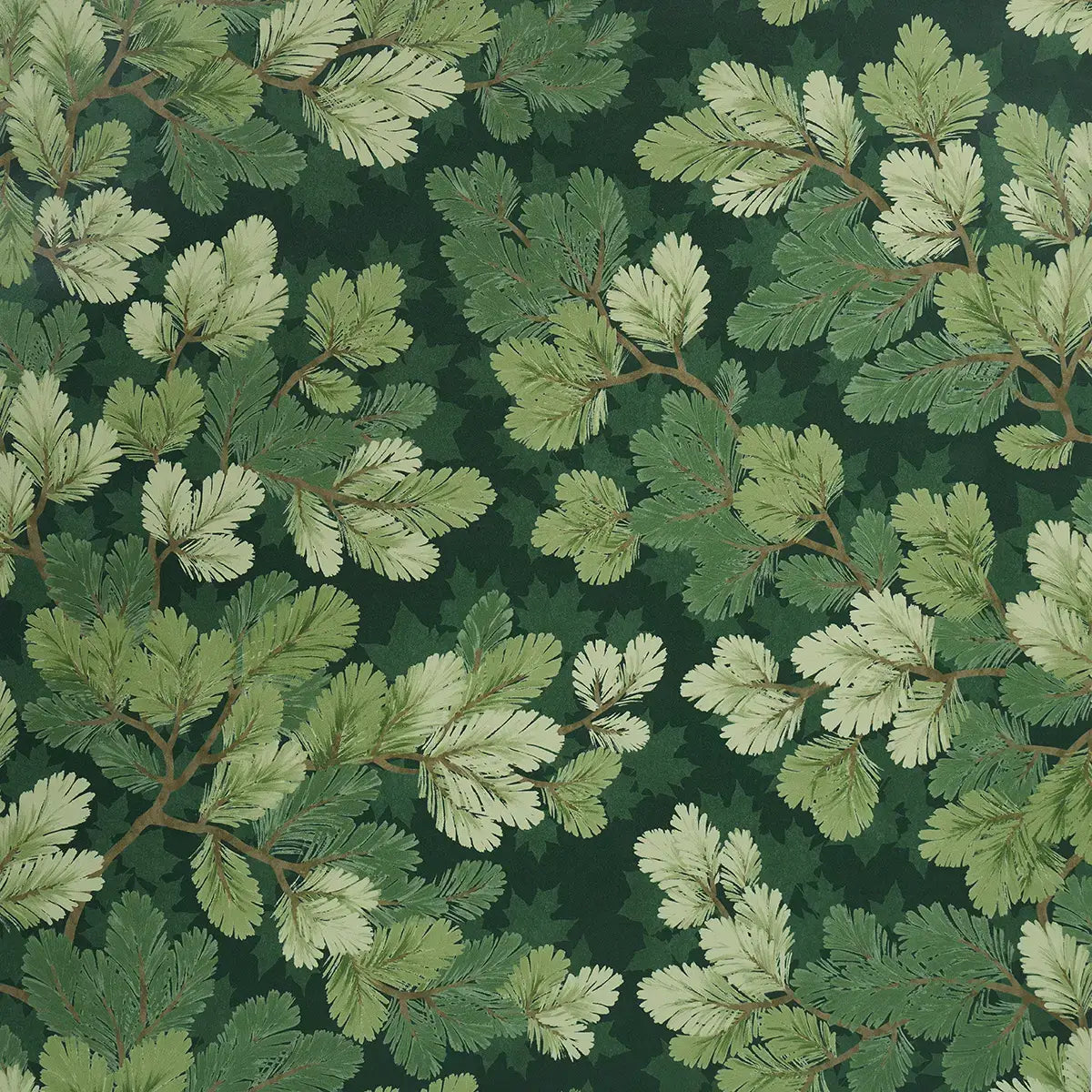 Schumacher Covey Hedge Wallpaper