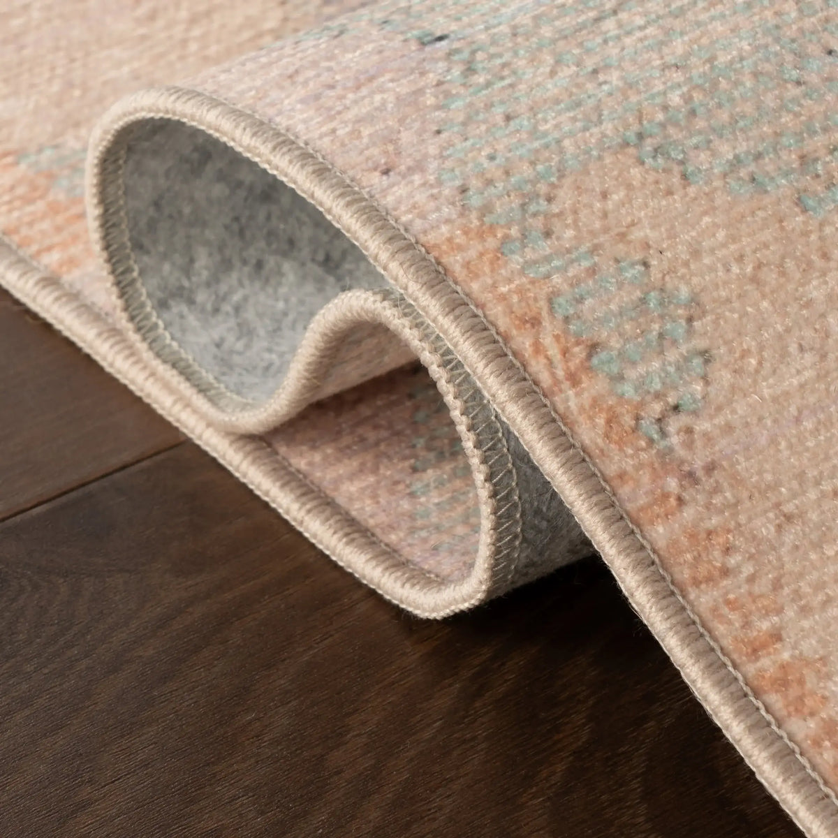 Bize Transitional Abstract Washable Rug