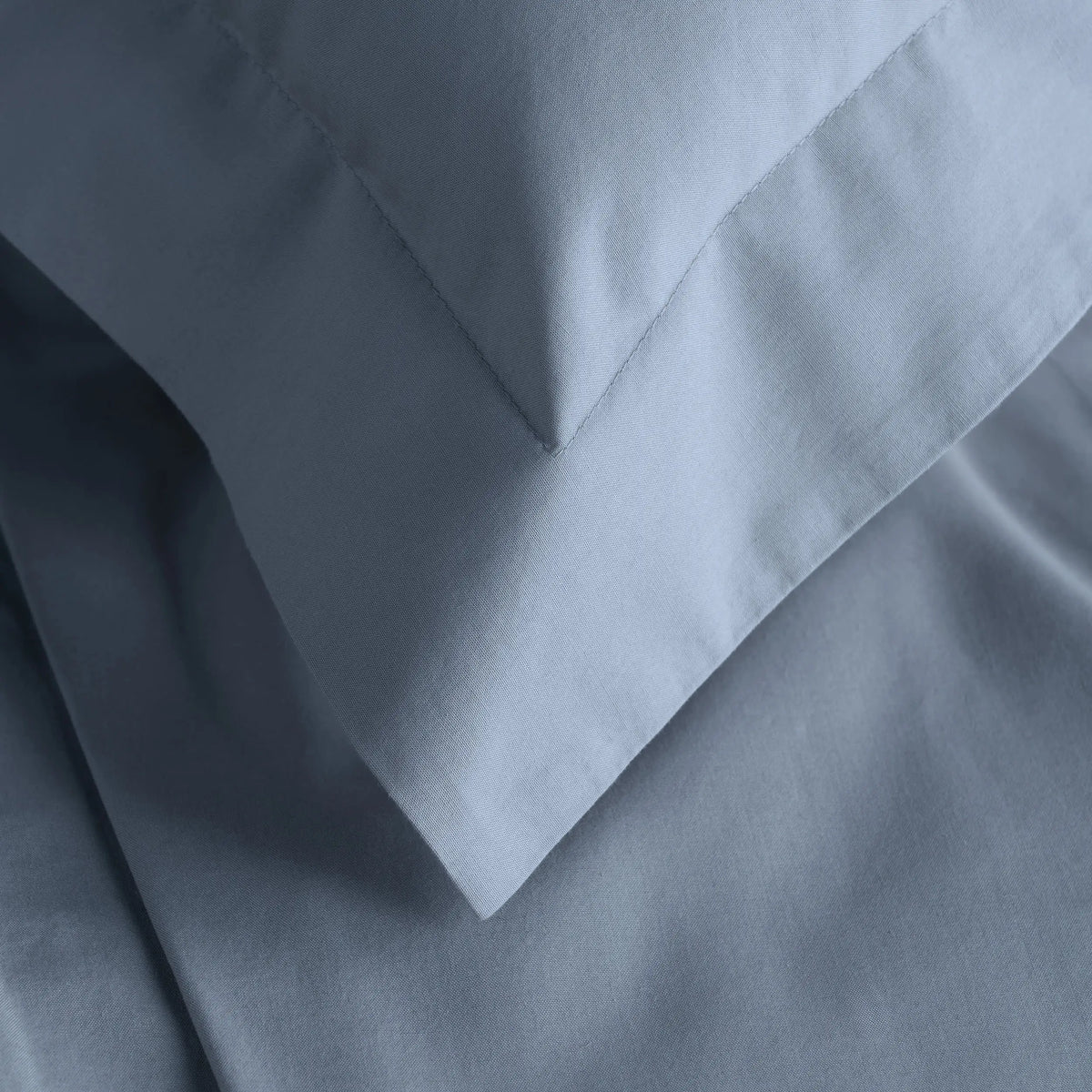 Pine Cone Hill Organic Cotton Sham