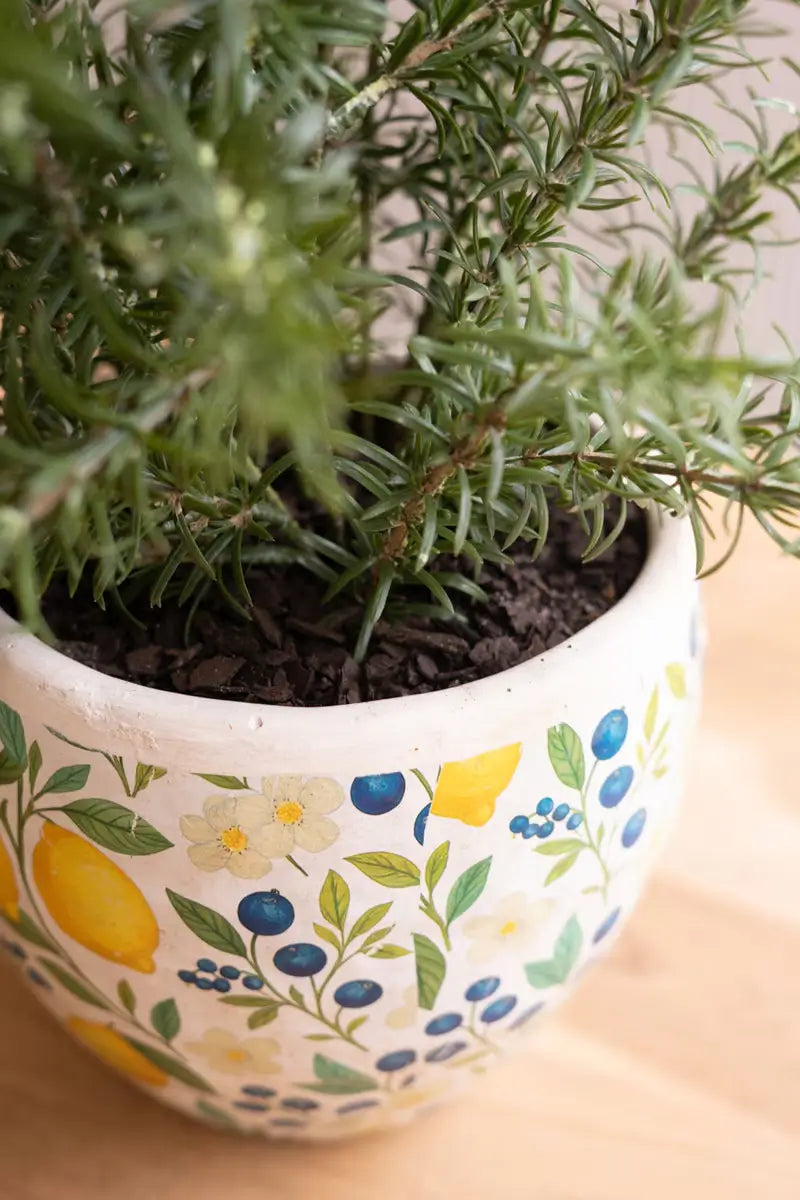 Cement Lemons Pitcher & Planter Set