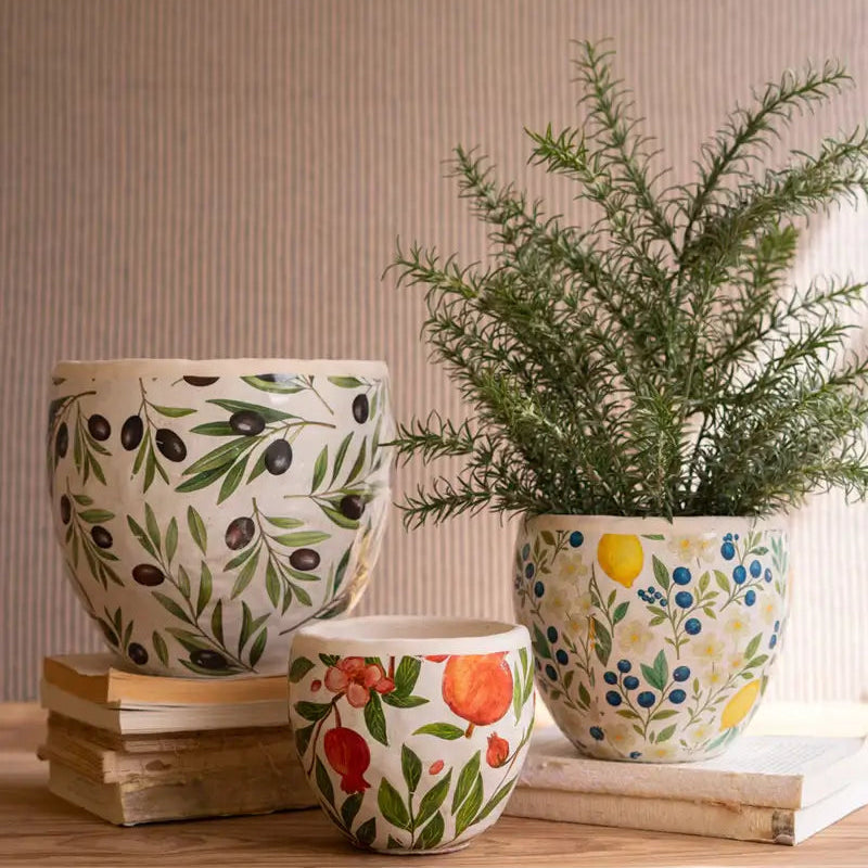 Fruitful Cement Planter Set