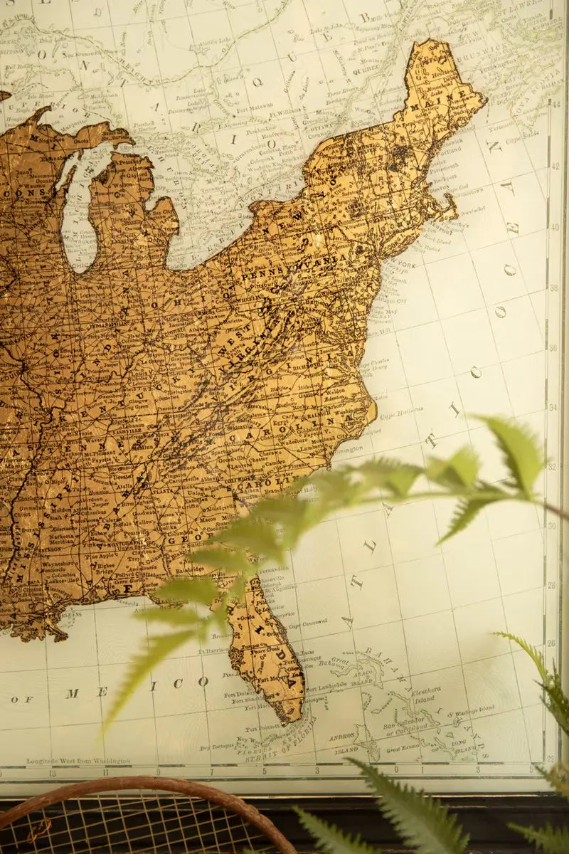 Framed Vintage Gold Leaf US Map Print