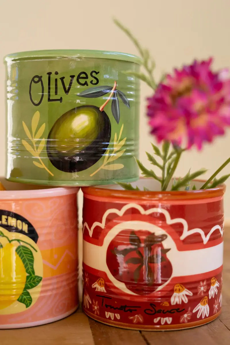 Ceramic Canned Goods Planter Set