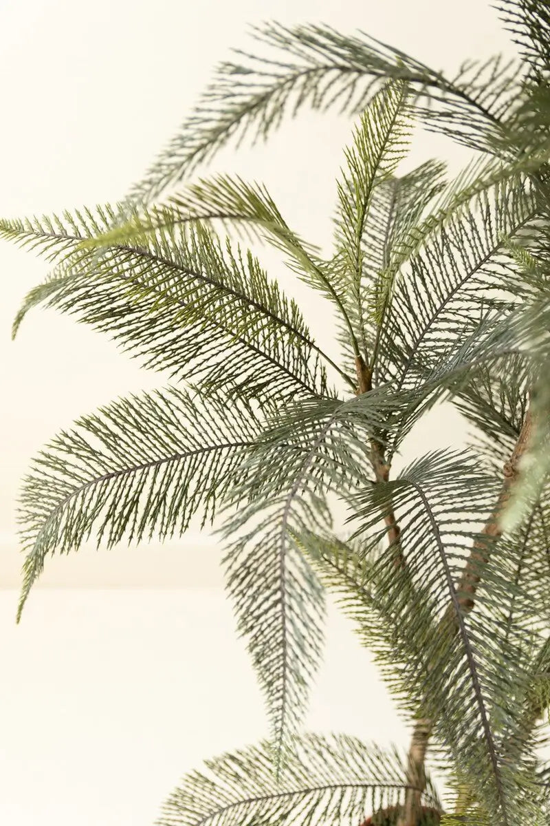 Artificial Wispy Palm in Faux Terracotta Pot