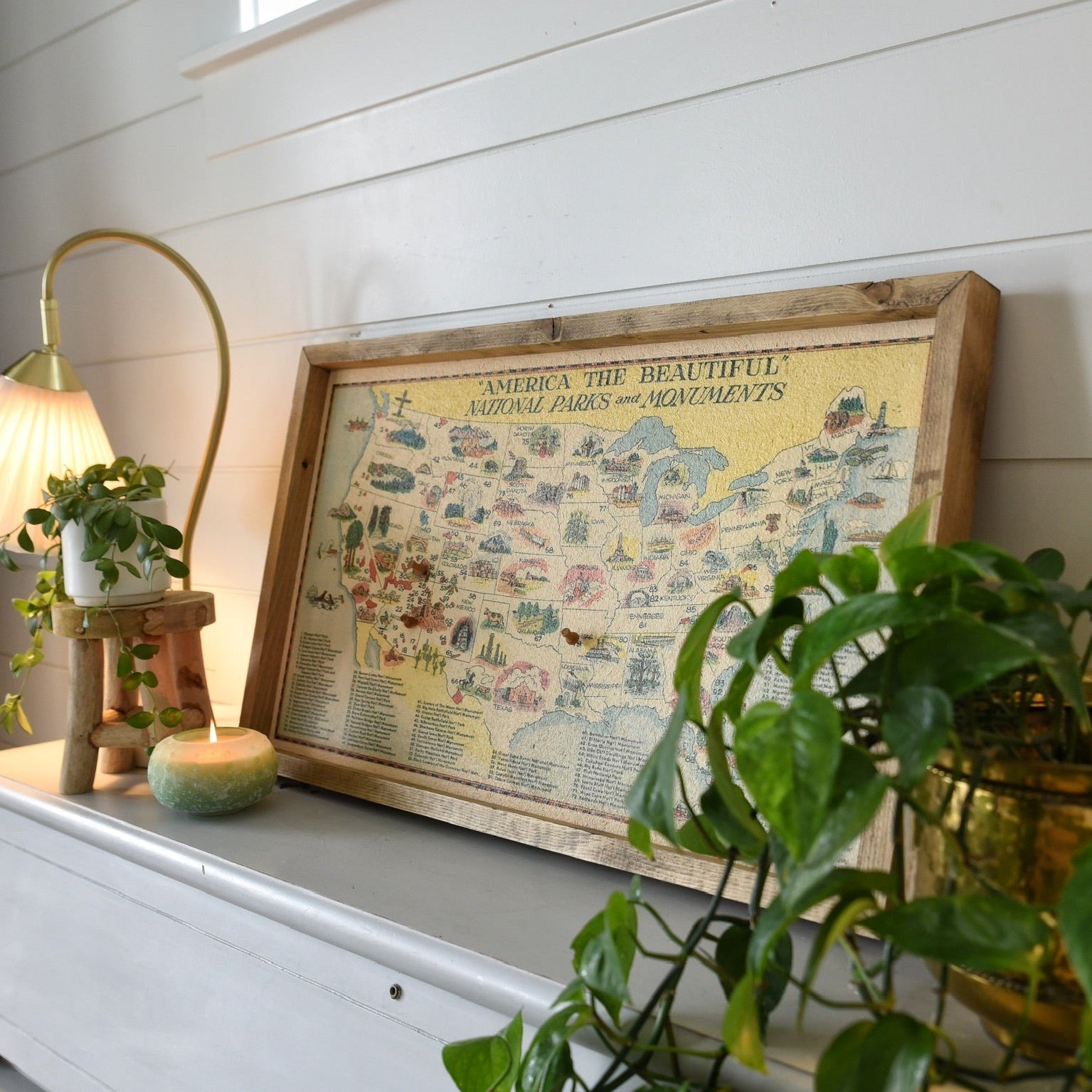 Vintage National Parks Pinboard