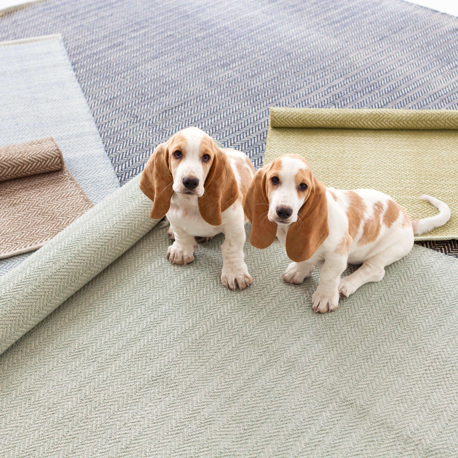 Dash & Albert Herringbone Ocean Woven Cotton Rug