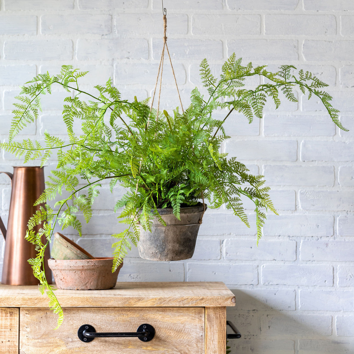 Large Potted Hanging Fern