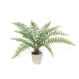 Large Potted Faux Flat Fern