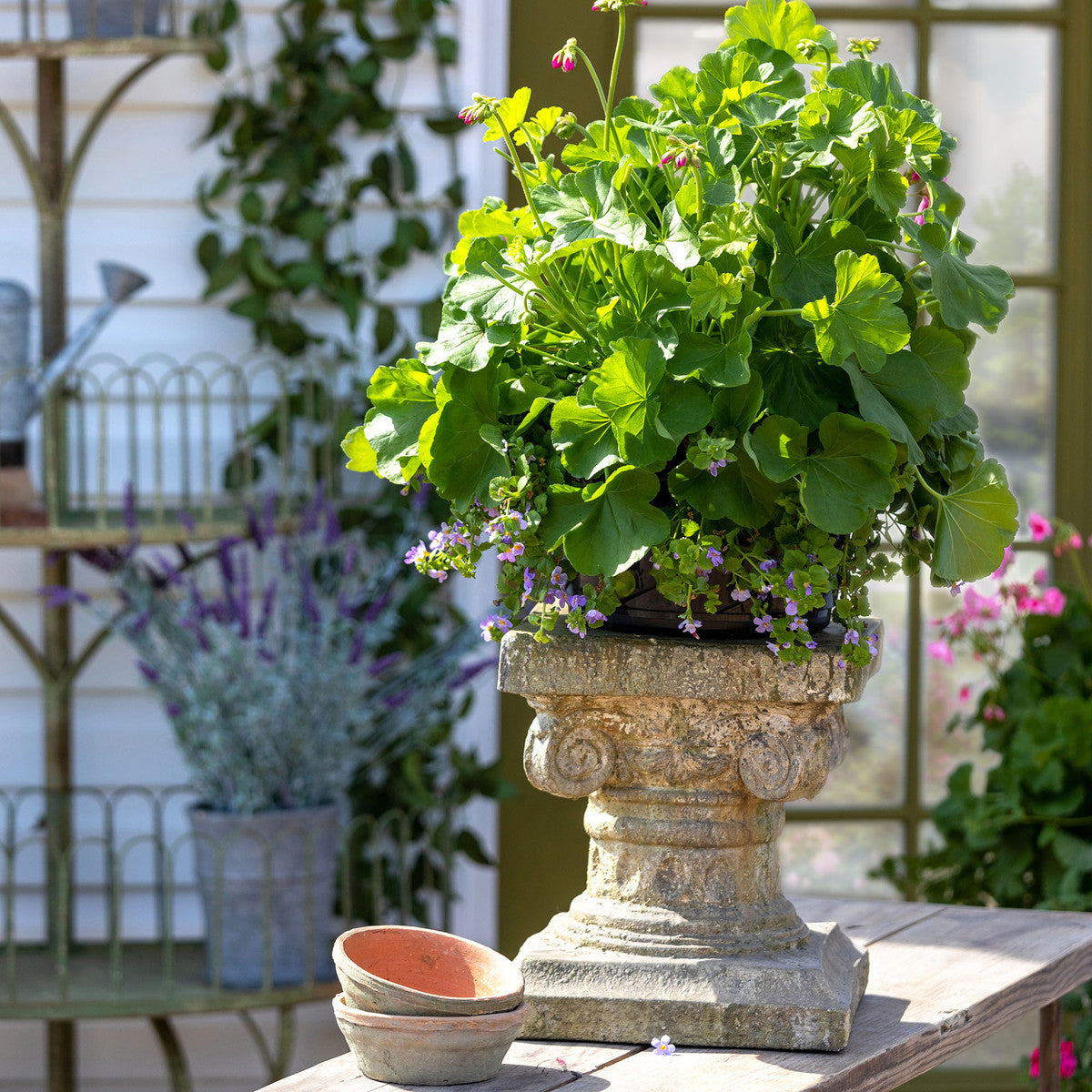 Courtyard Garden Pedestal, 13" A Cottage in the City