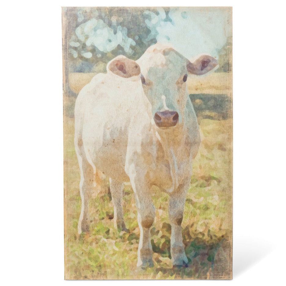 Charolais Cow Canvas Print