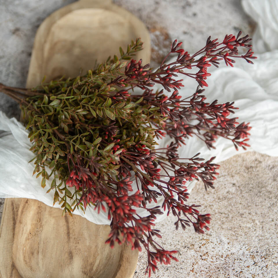 New England Boxwood & Berry Bush