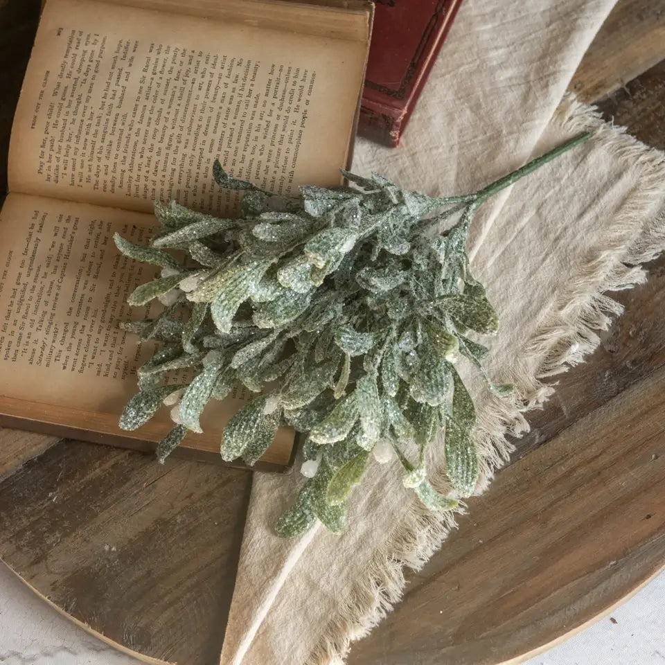 Frosted Mistletoe Bush