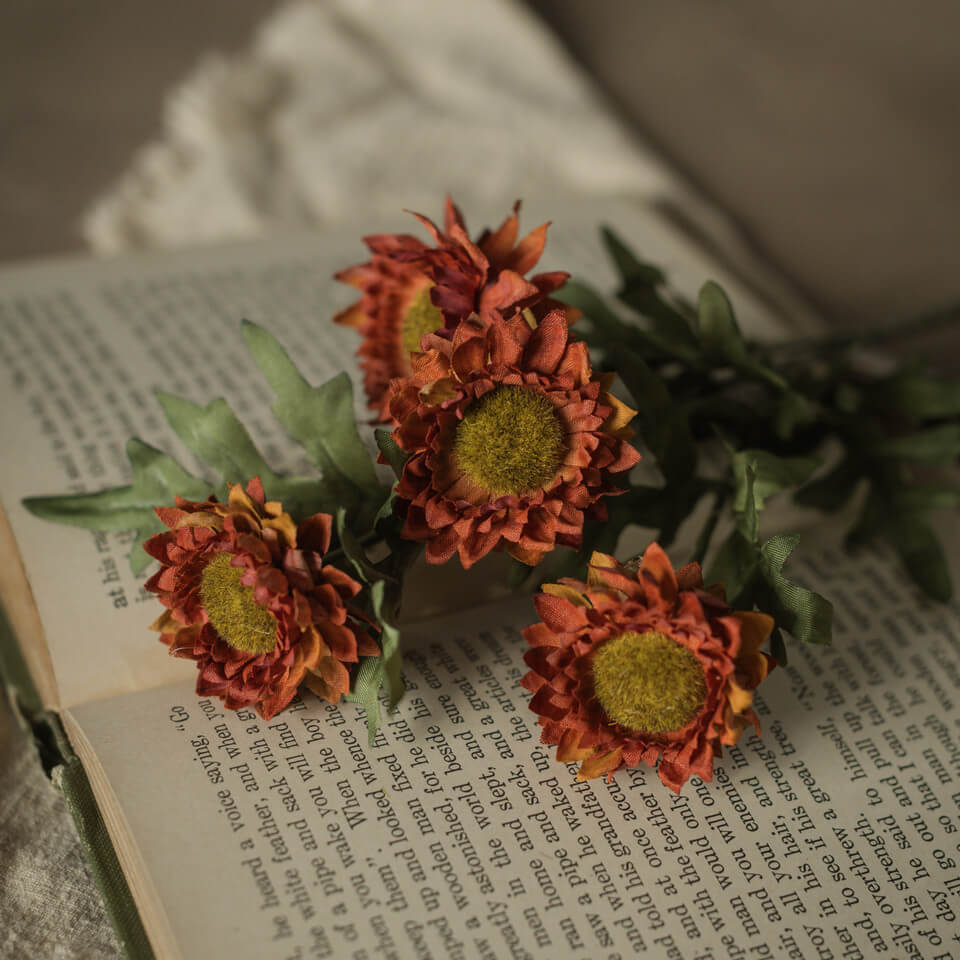 Burnt Orange Strawflower Pick
