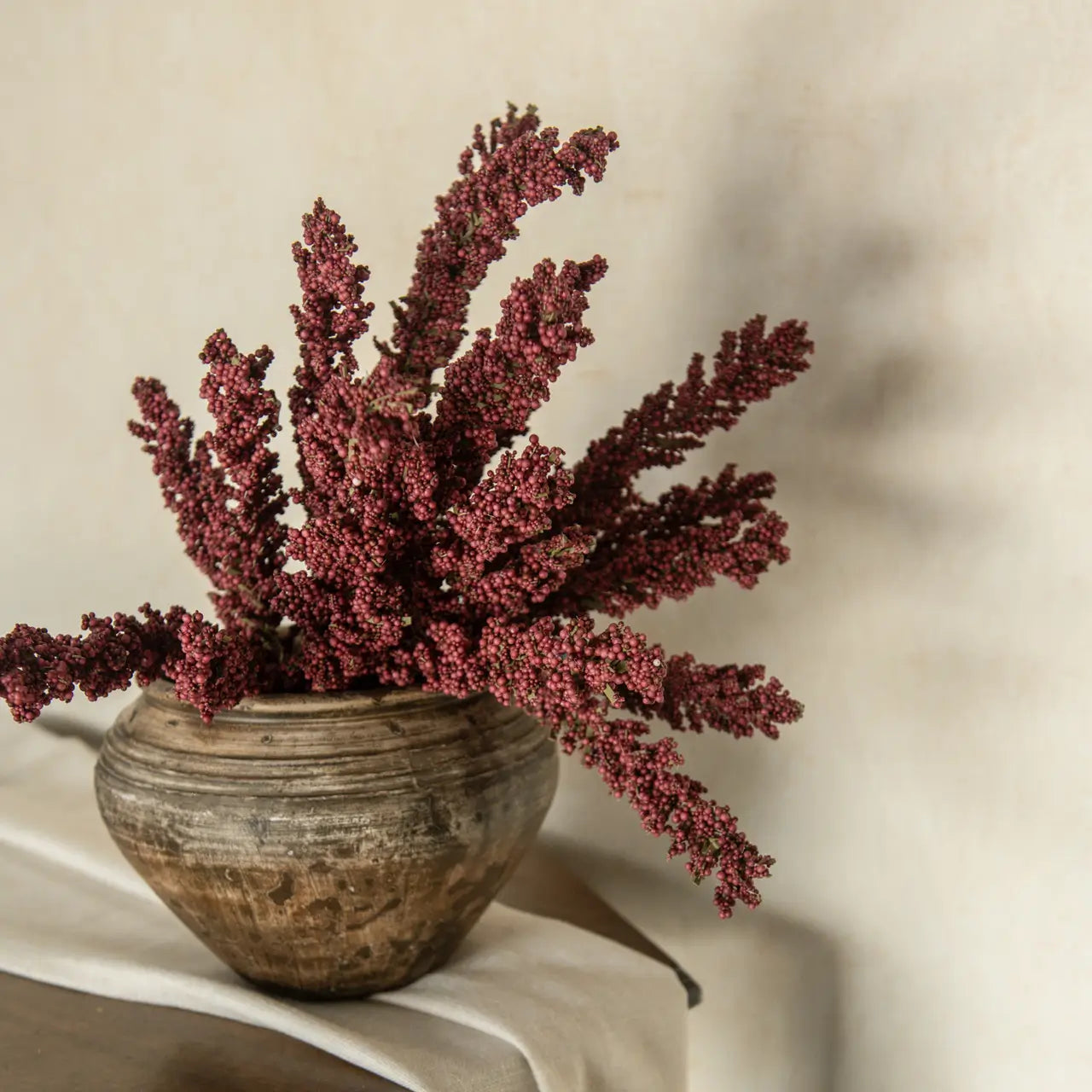 Mulberry Heather Bush