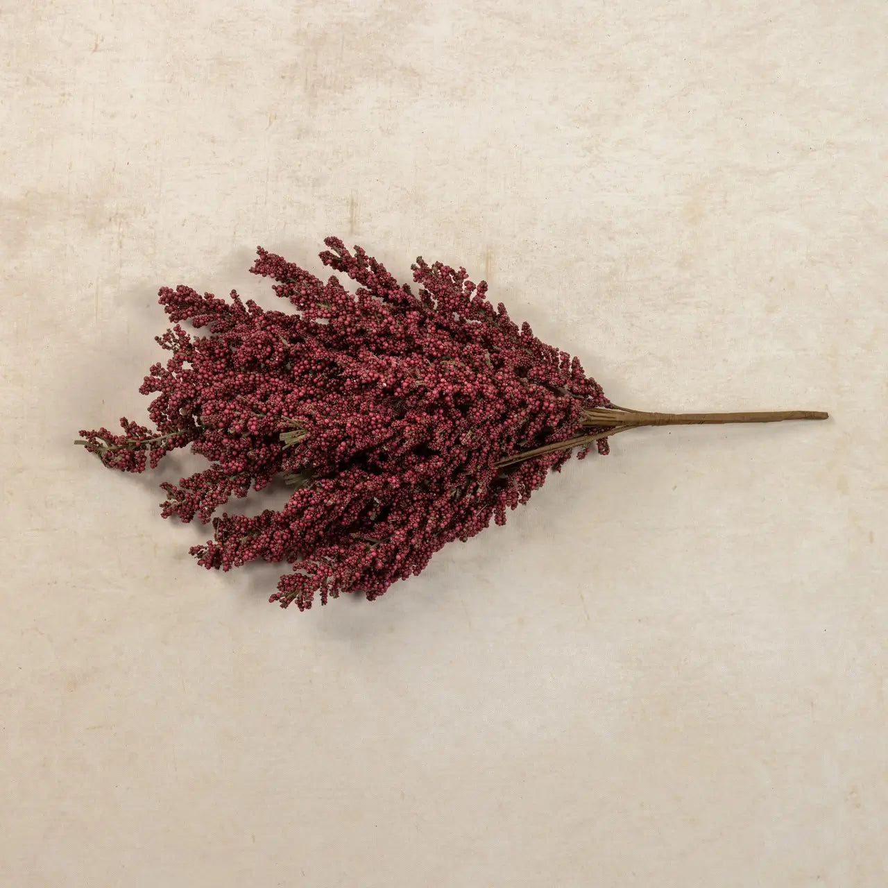 Mulberry Heather Bush