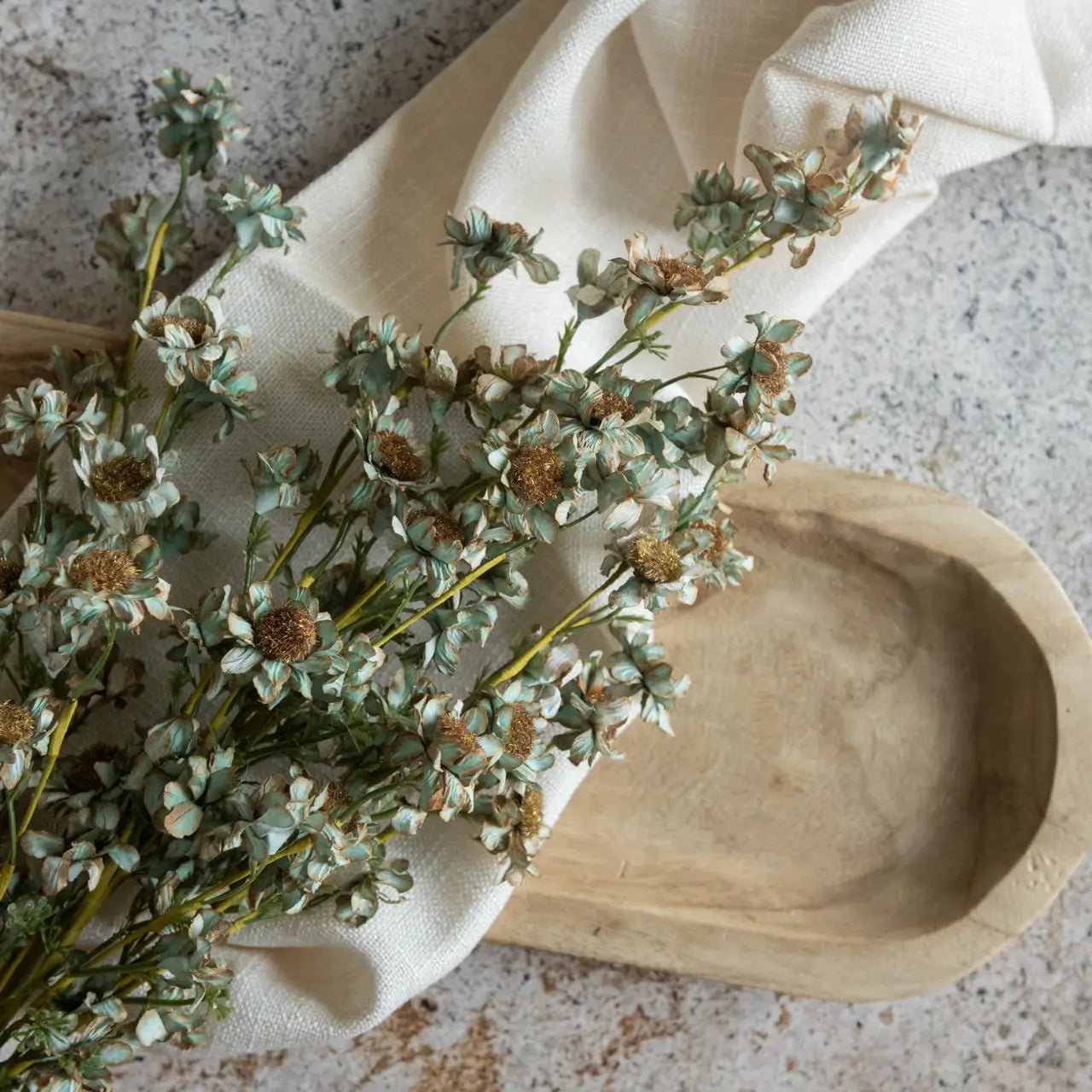 Blue & Brown Mini Daisy Bush