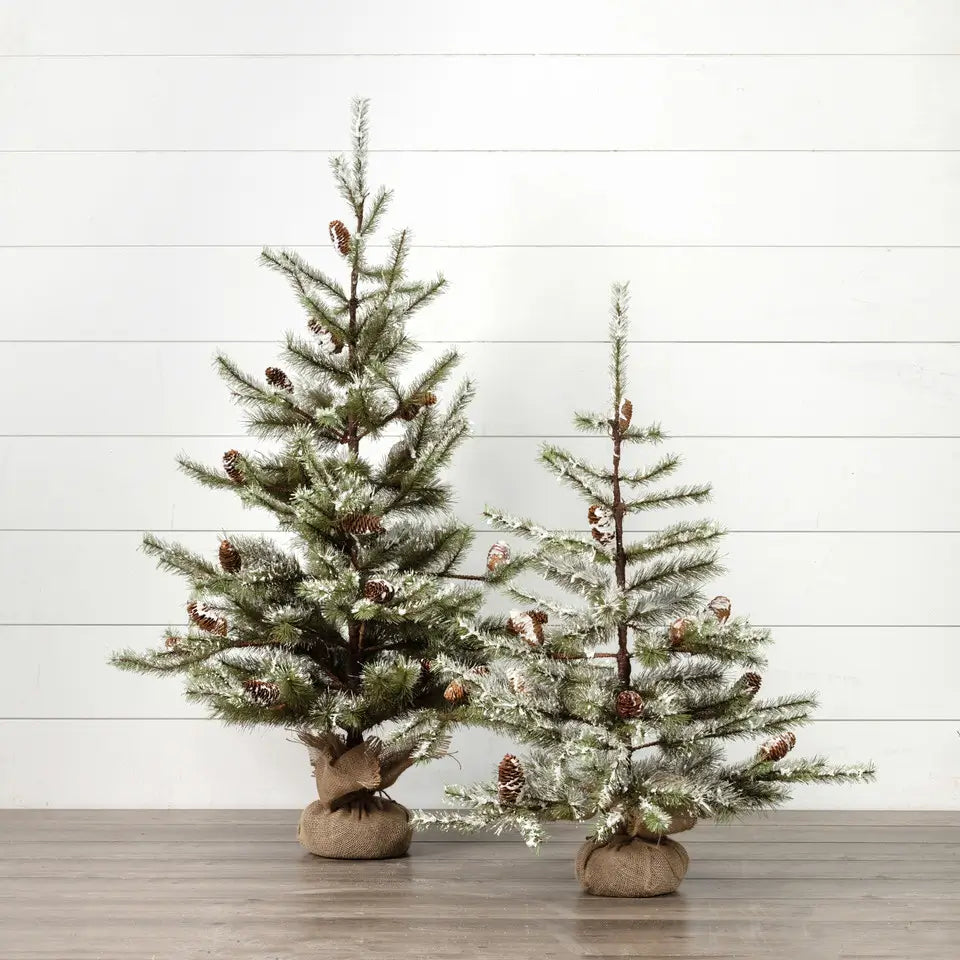 Snowy Pine Tree