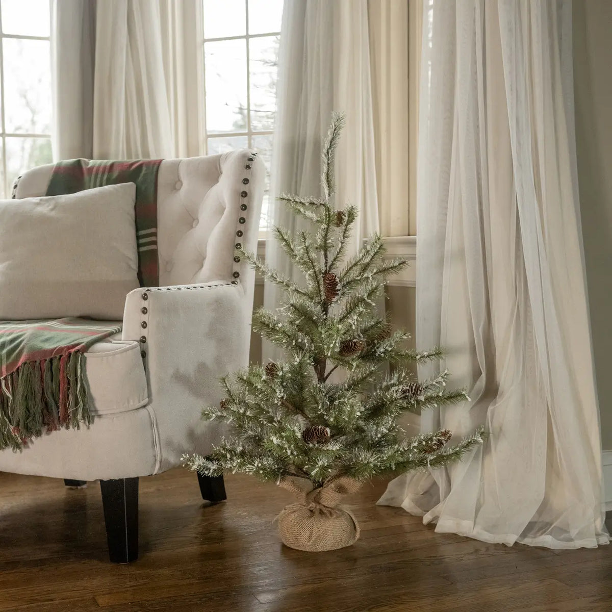 Snowy Pine Tree