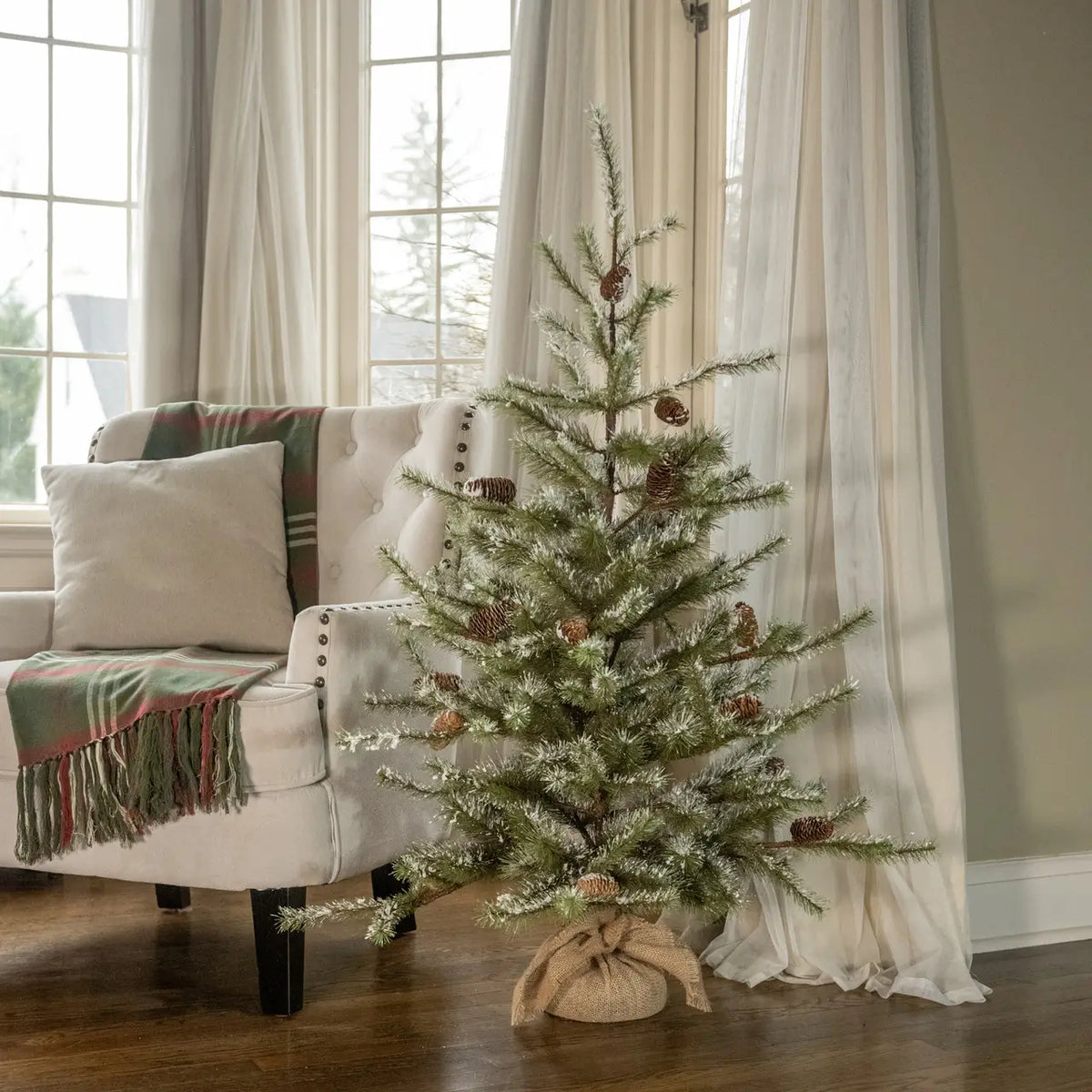 Snowy Pine Tree