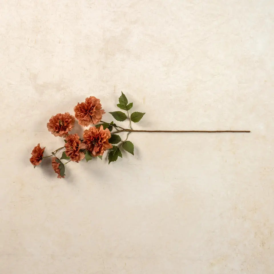 Brown Carnation Spray