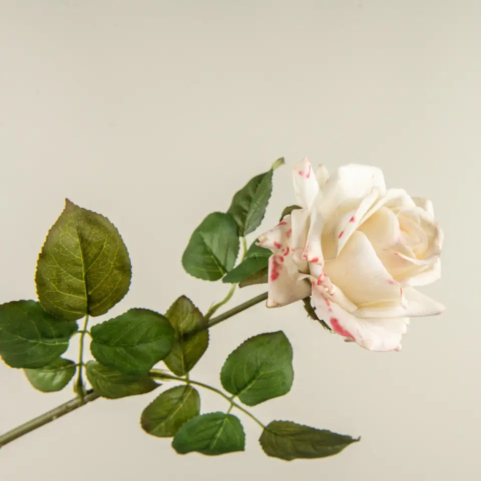 Soft Touch Cream Rose Stem