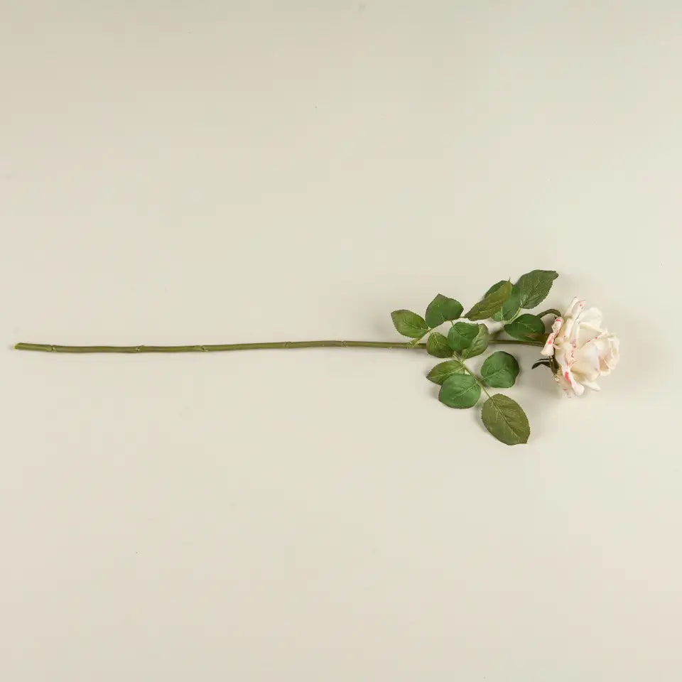 Soft Touch Cream Rose Stem