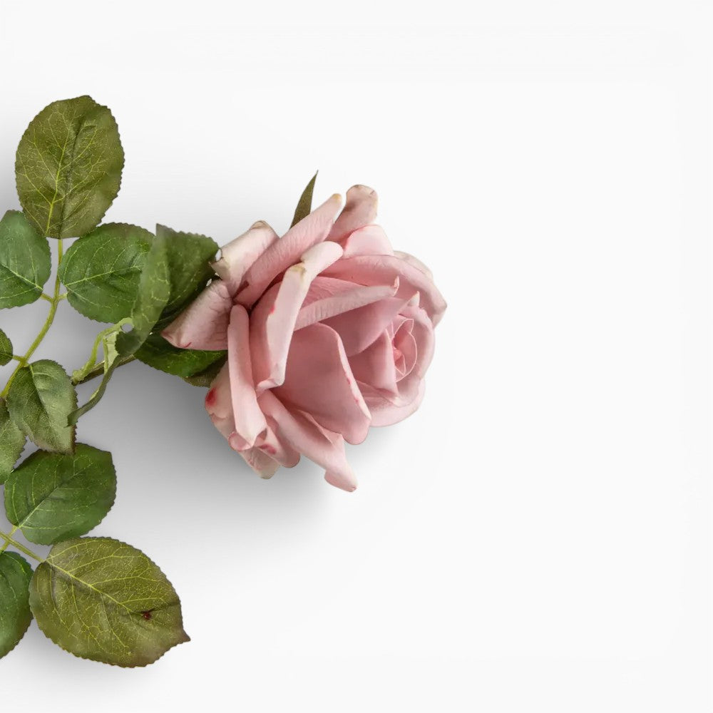 Soft Touch Pink Rose Stem