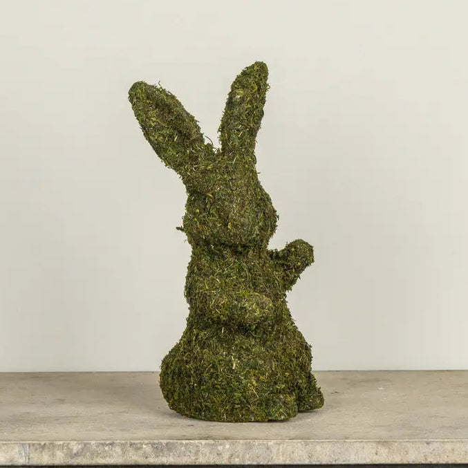 Moss Bunny