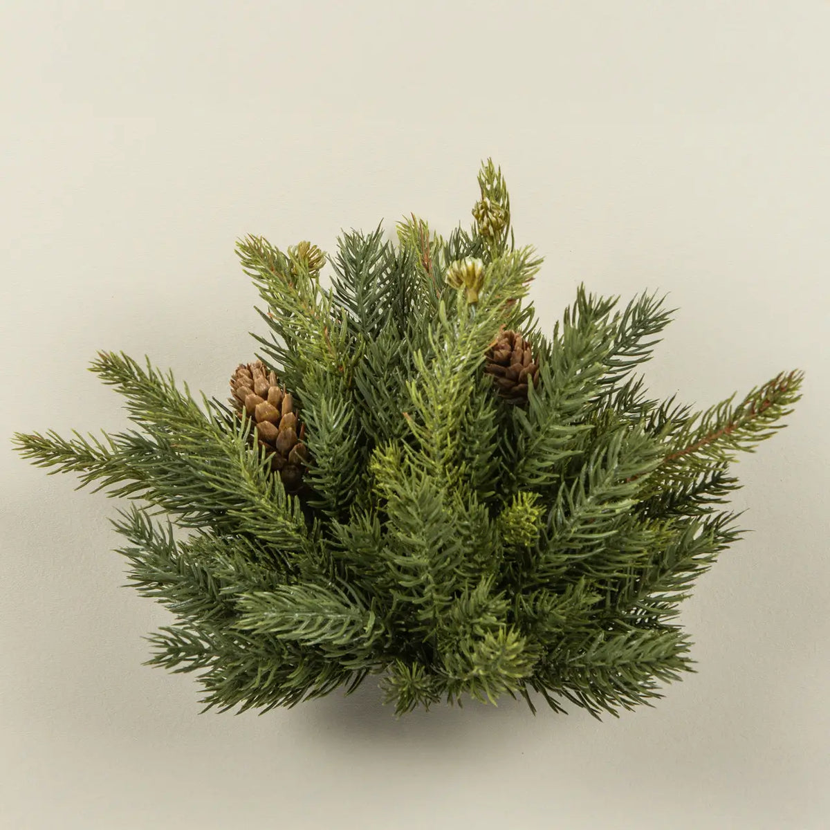 White Spruce & Mini Pinecones Half Ball
