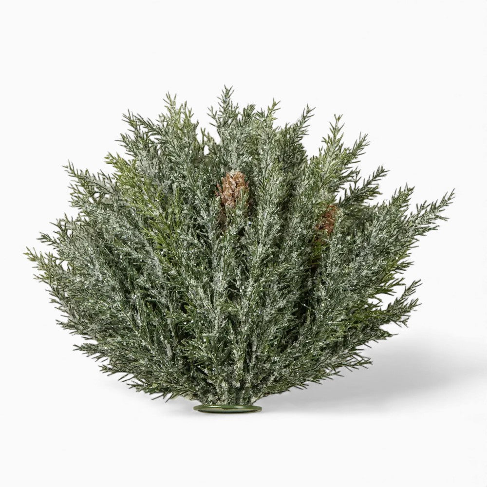 Prickly Pine With Pinecones Half Ball