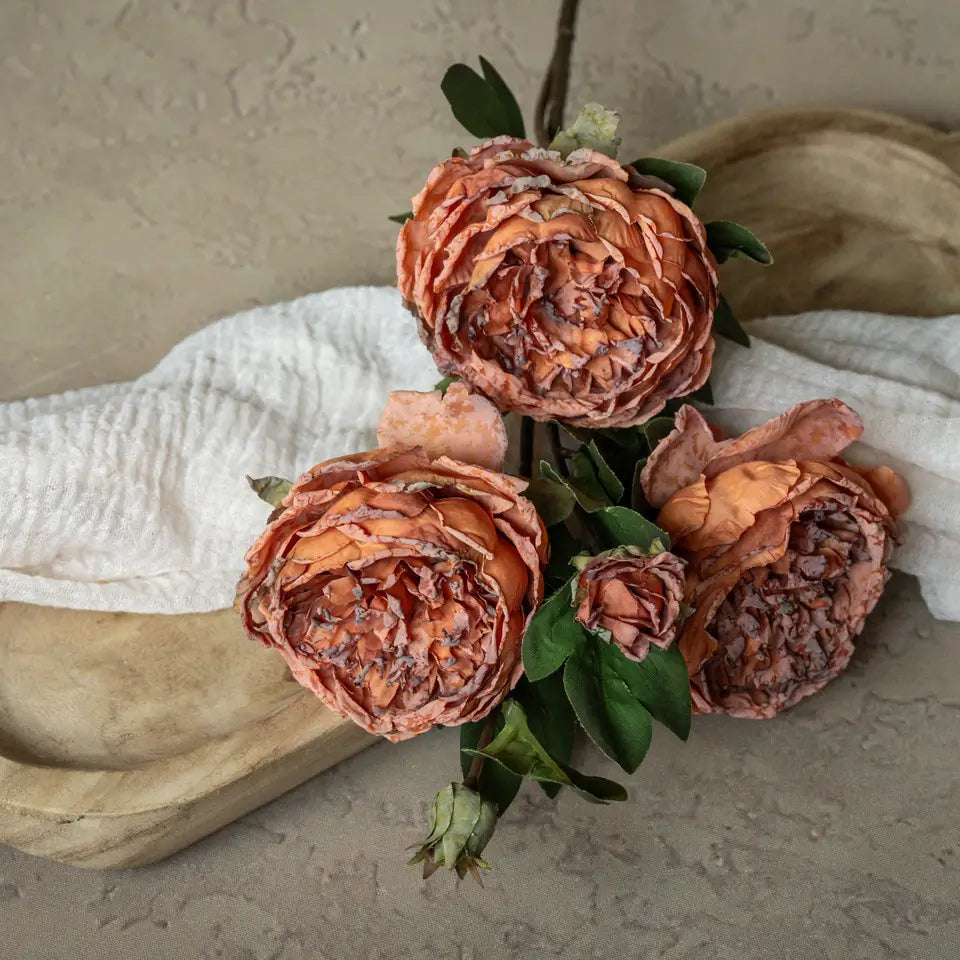 Orange Dried Peony Spray