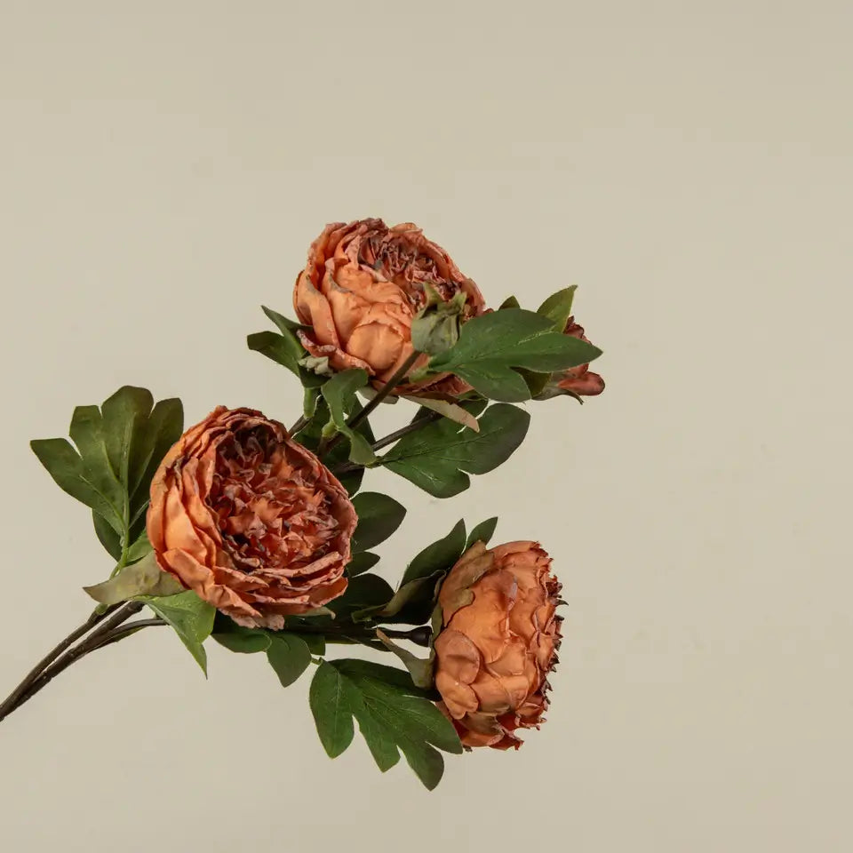 Orange Dried Peony Spray