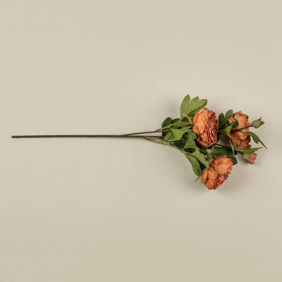 Orange Dried Peony Spray