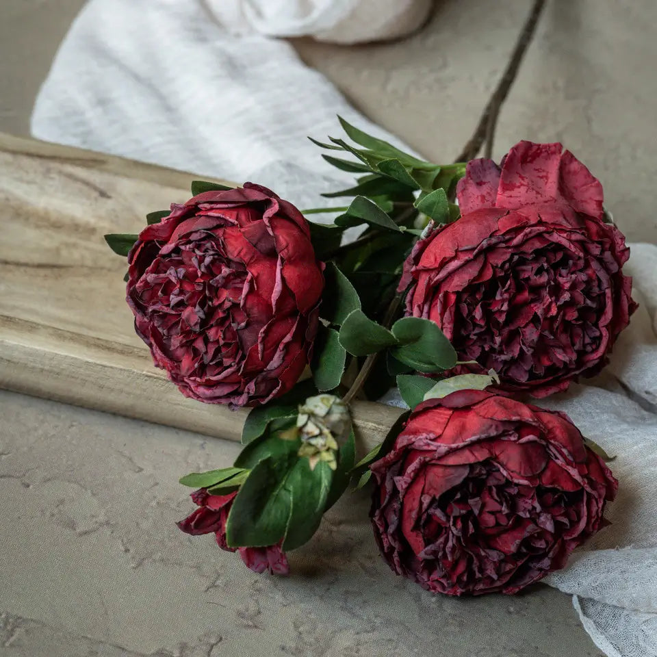 Red Dried Peony Spray